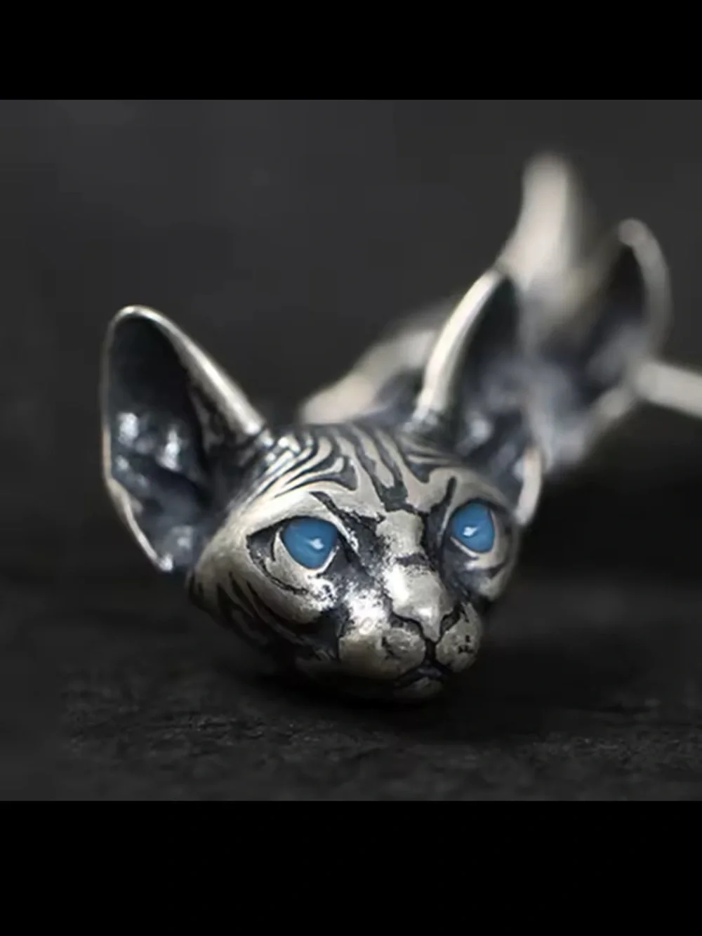 Anthropologie detailed cat